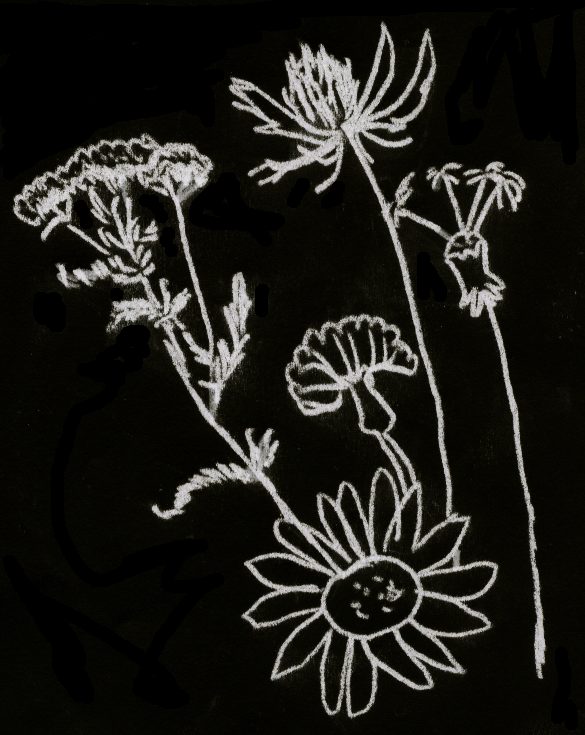 blumen