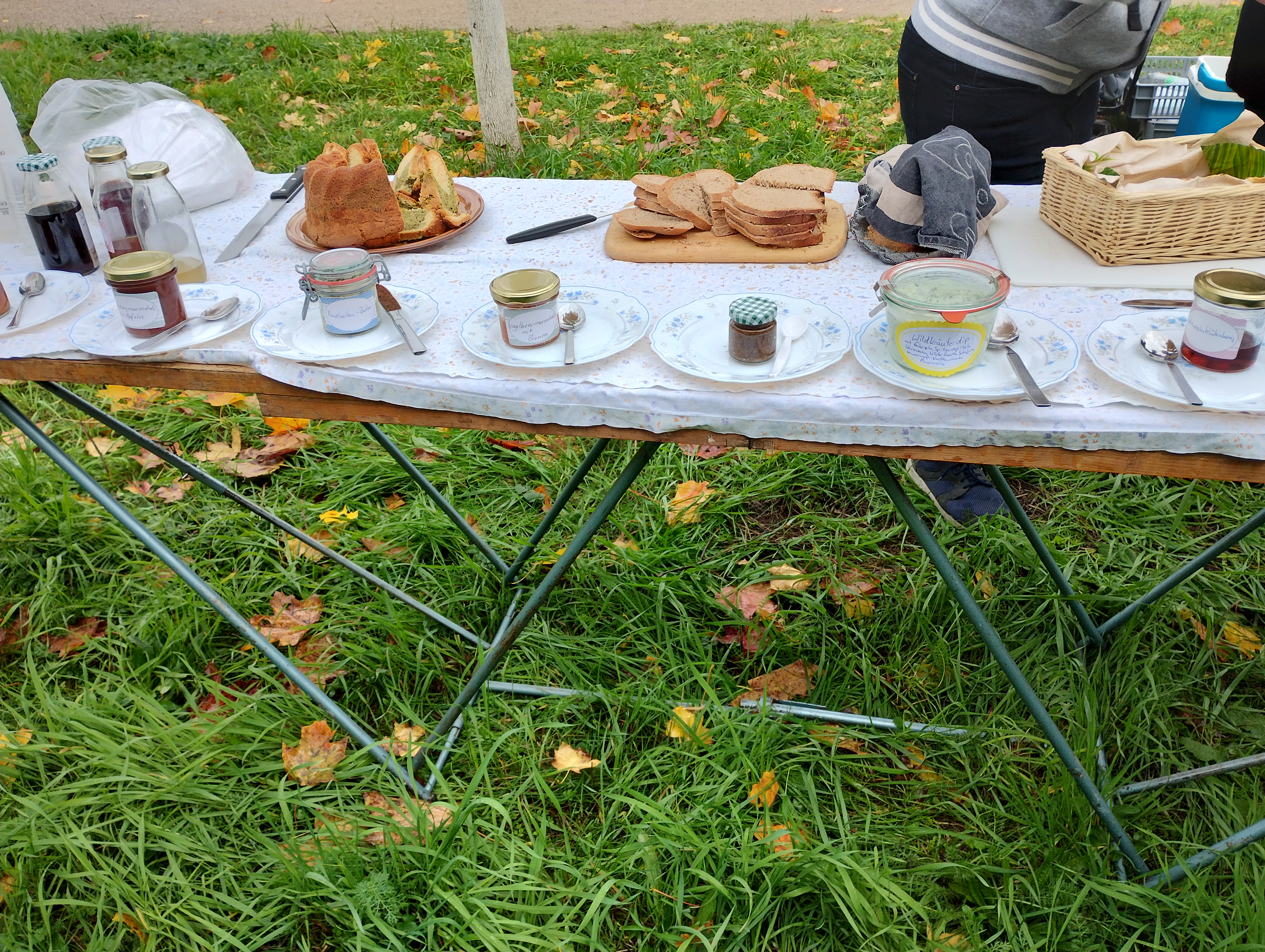 Kraeuterfuehrung Herbst
