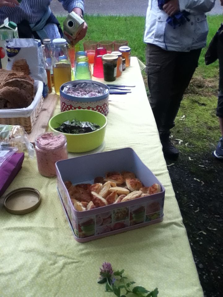 Kräuter im Frühjahr