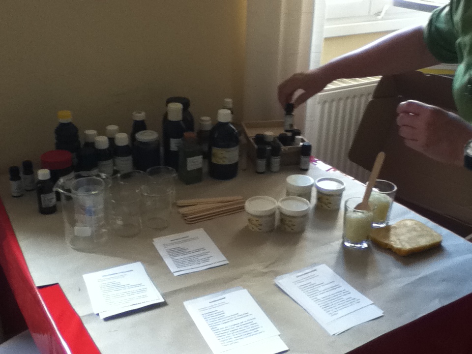 Naturkostik-Workshop