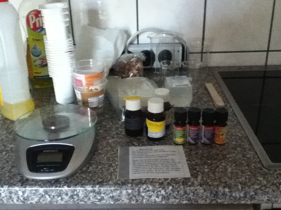 Naturkostik-Workshop